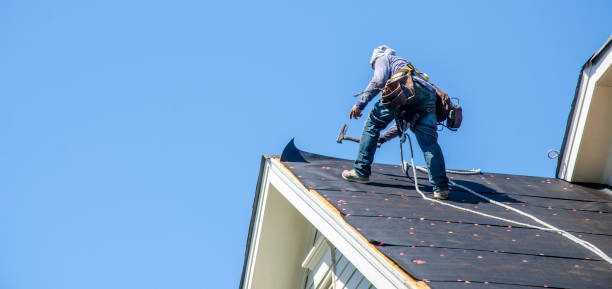 Best Roof Replacement Cost  in Wacousta, MI